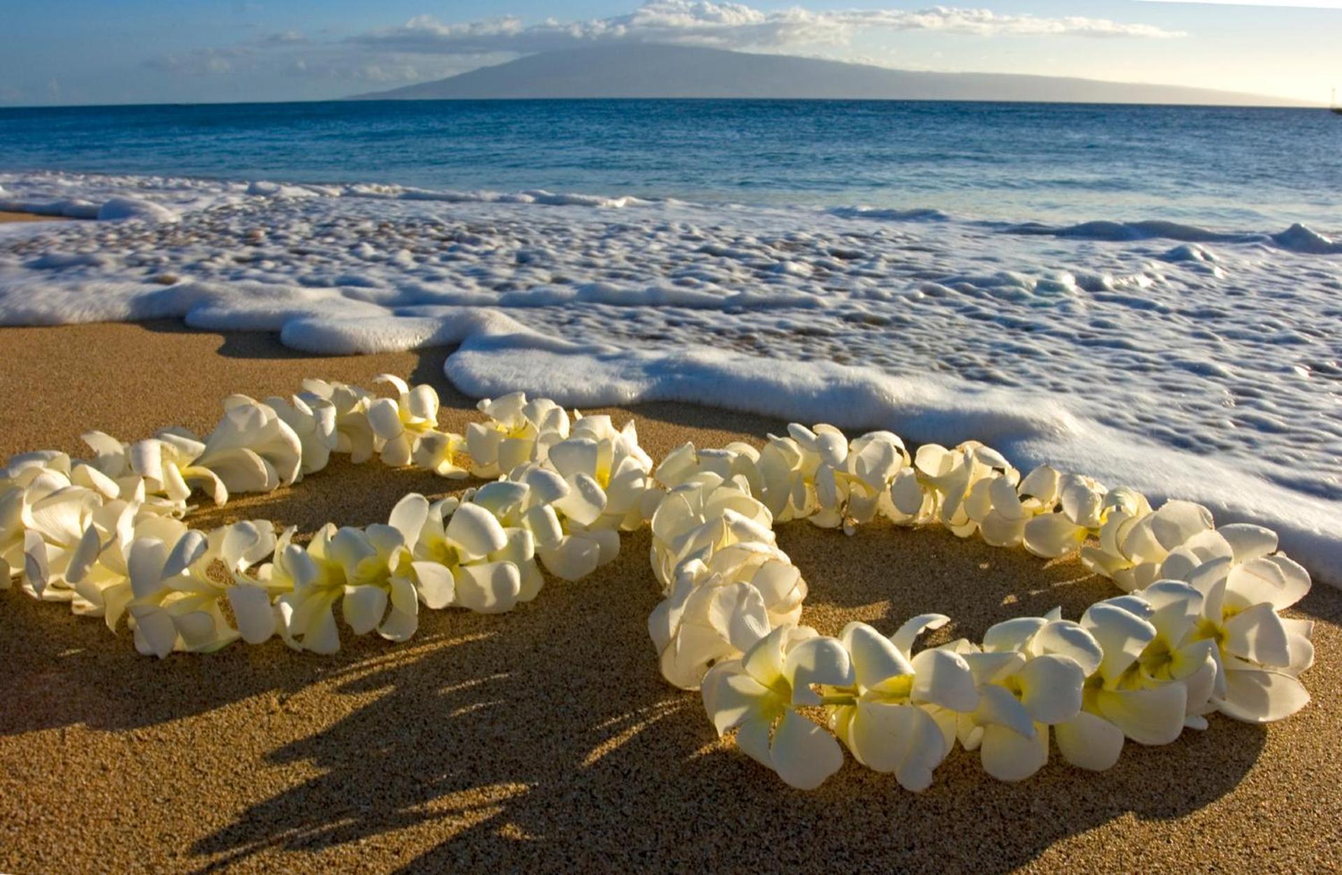Renovated Ocean View Suite, Near Beach, Free Parking Honolulu Exteriér fotografie