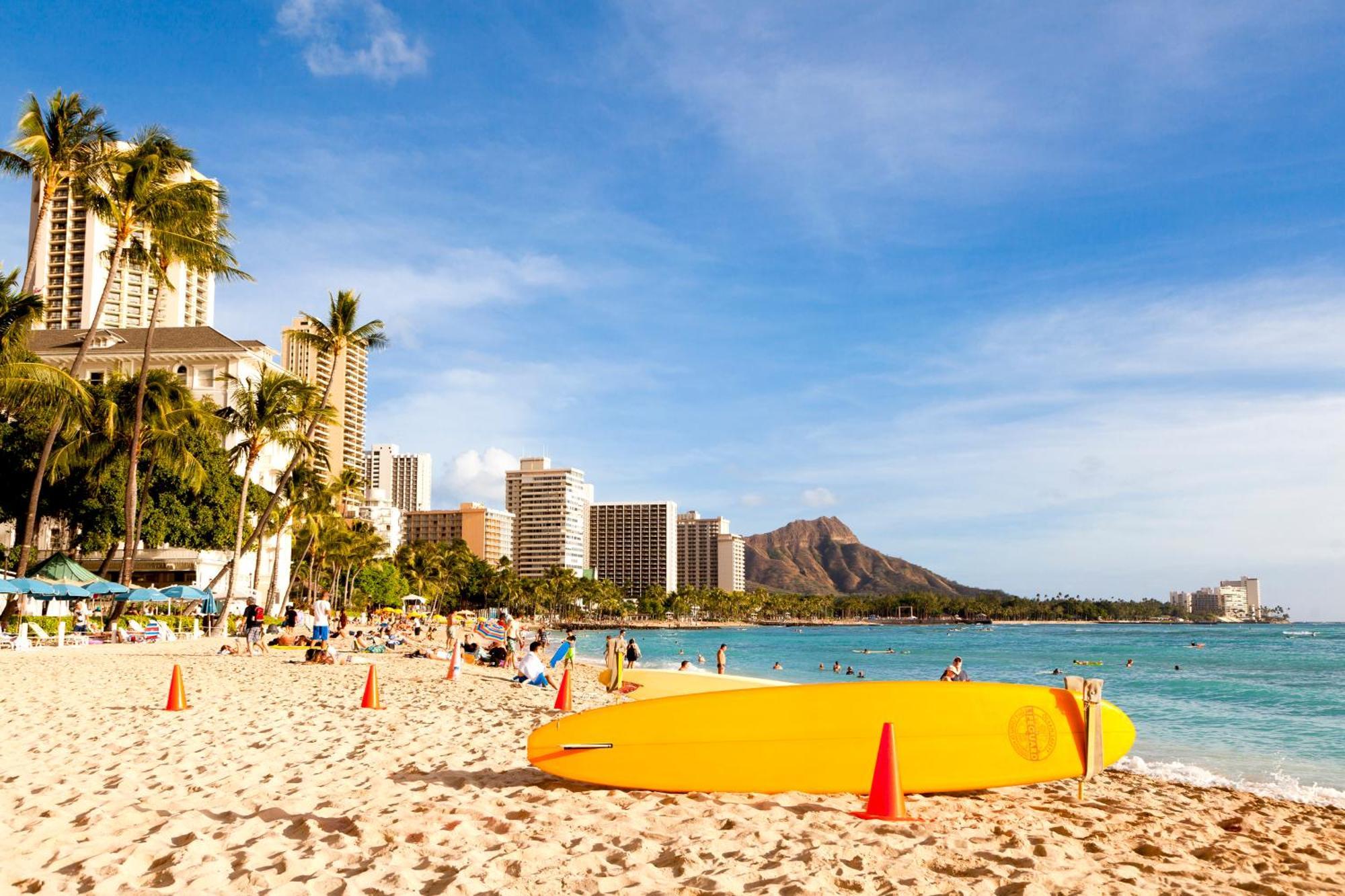 Renovated Ocean View Suite, Near Beach, Free Parking Honolulu Exteriér fotografie