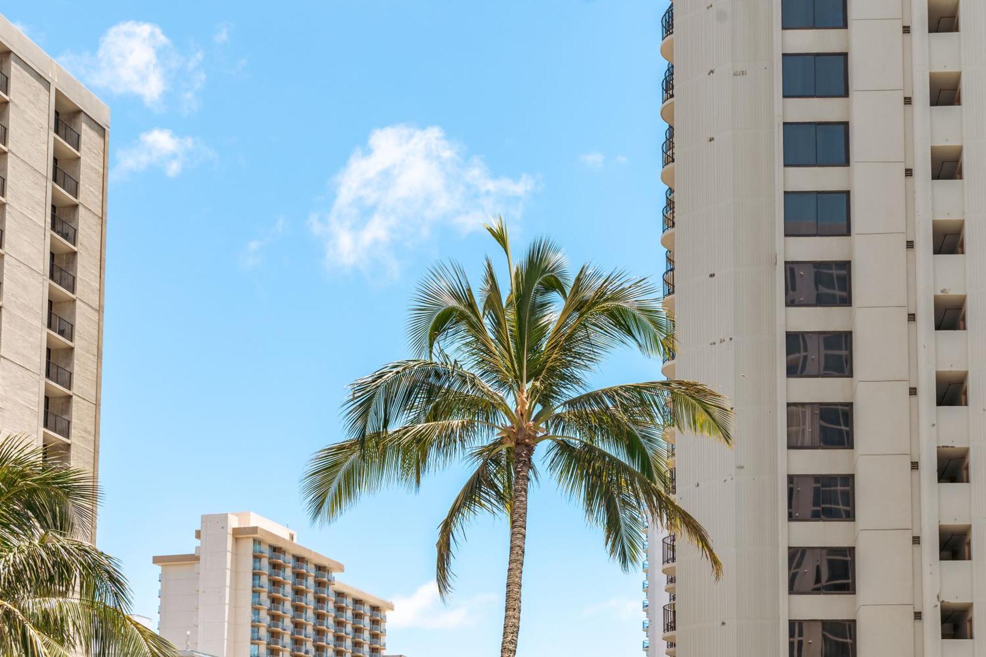 Renovated Ocean View Suite, Near Beach, Free Parking Honolulu Exteriér fotografie