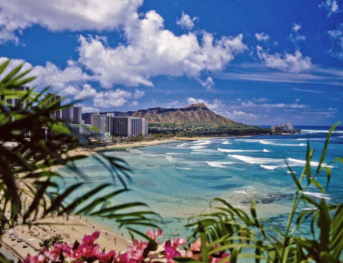 Renovated Ocean View Suite, Near Beach, Free Parking Honolulu Exteriér fotografie